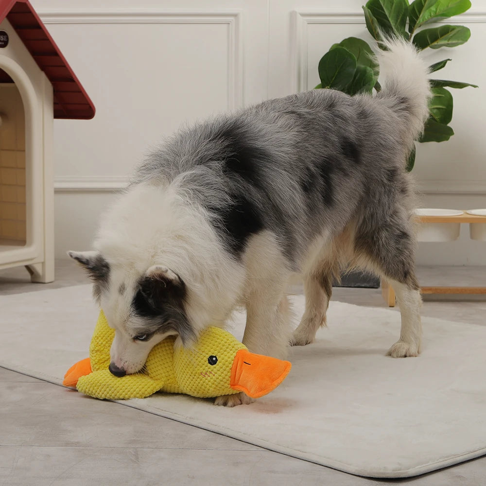 Duck Squeaky Plush Toy – Perfect for Dog Chewing and Playtime Fun