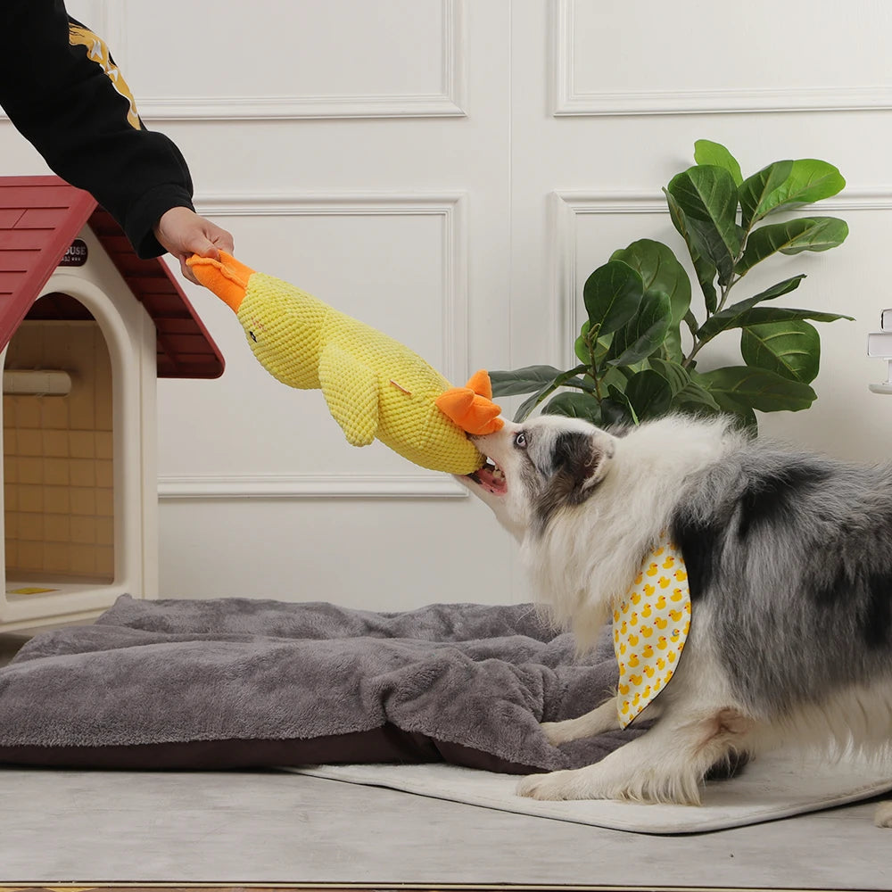 Duck Squeaky Plush Toy – Perfect for Dog Chewing and Playtime Fun