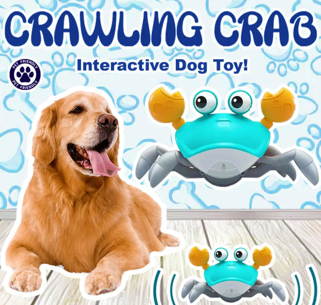 Interactive Crawling Crab